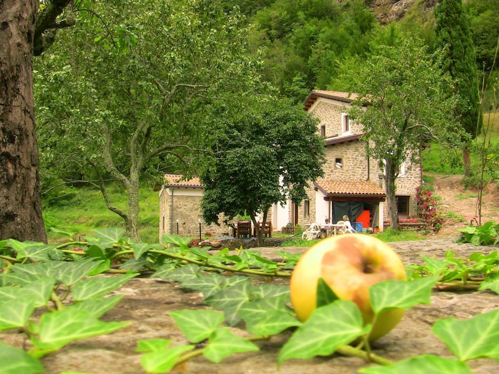 Agriturismo Di La Dall'Acqua Fivizzano Exterior photo