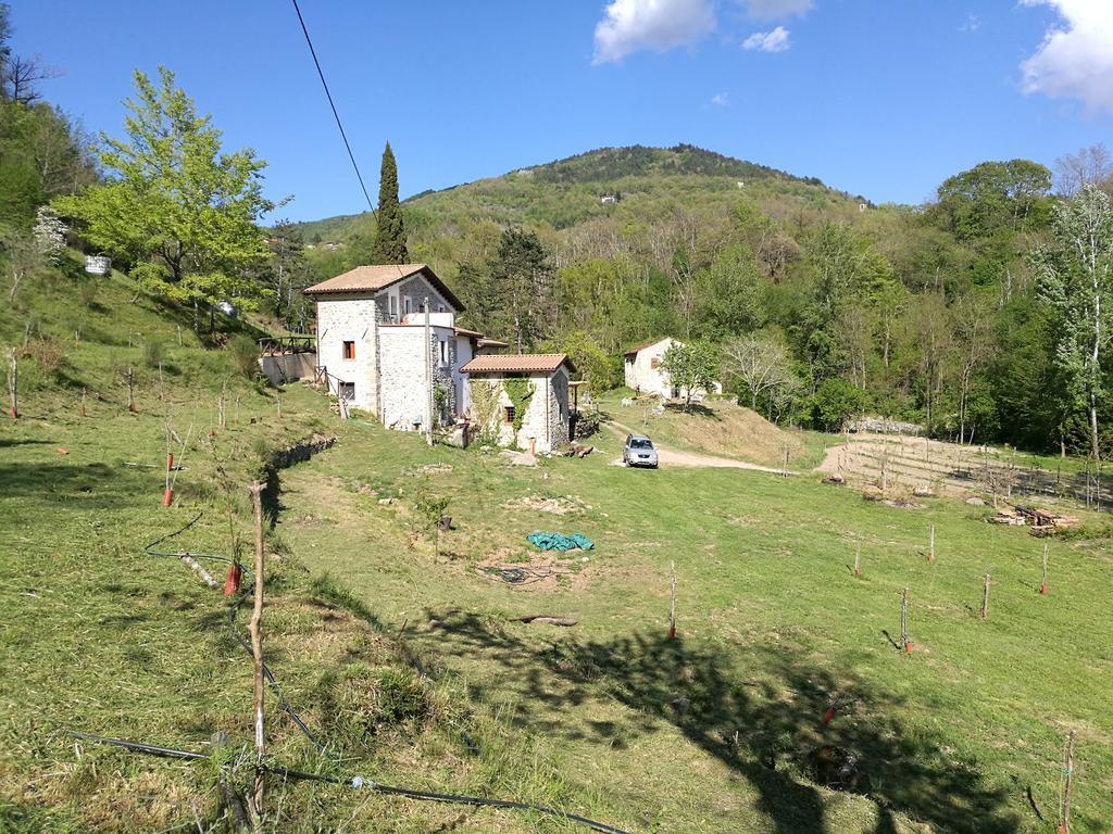 Agriturismo Di La Dall'Acqua Fivizzano Exterior photo