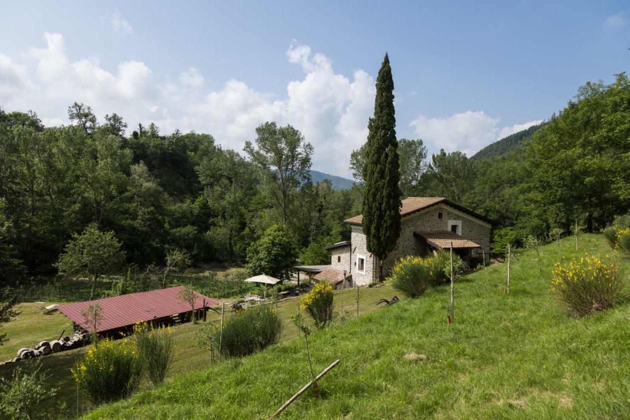 Agriturismo Di La Dall'Acqua Fivizzano Exterior photo